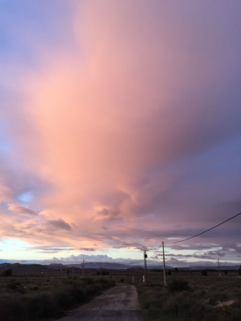 Paso a paso o el camino hacia la maternidad