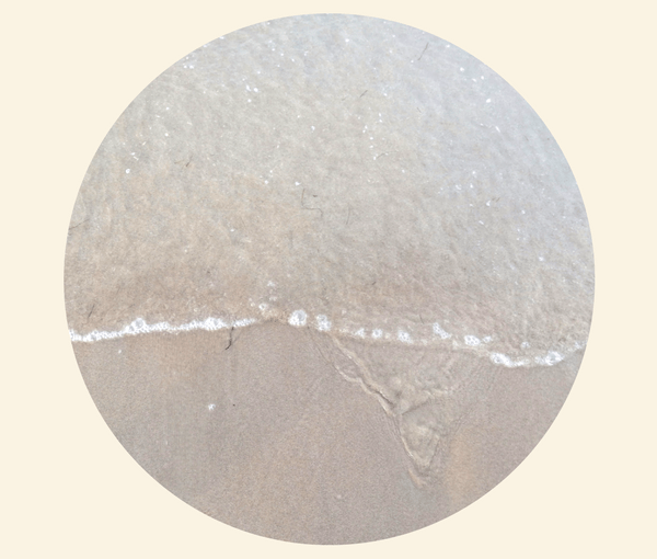 Adiós verano, bienvenido otoño